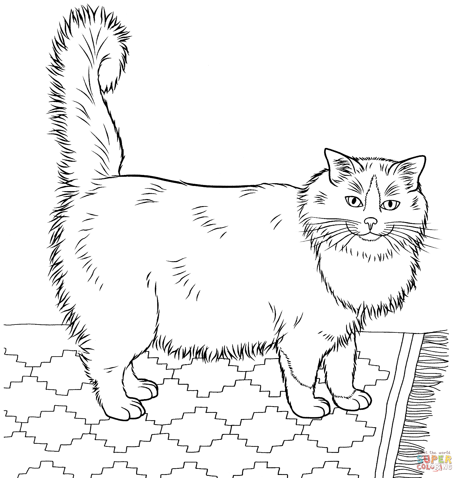 Ragdoll Cat coloring page | Free Printable Coloring Pages