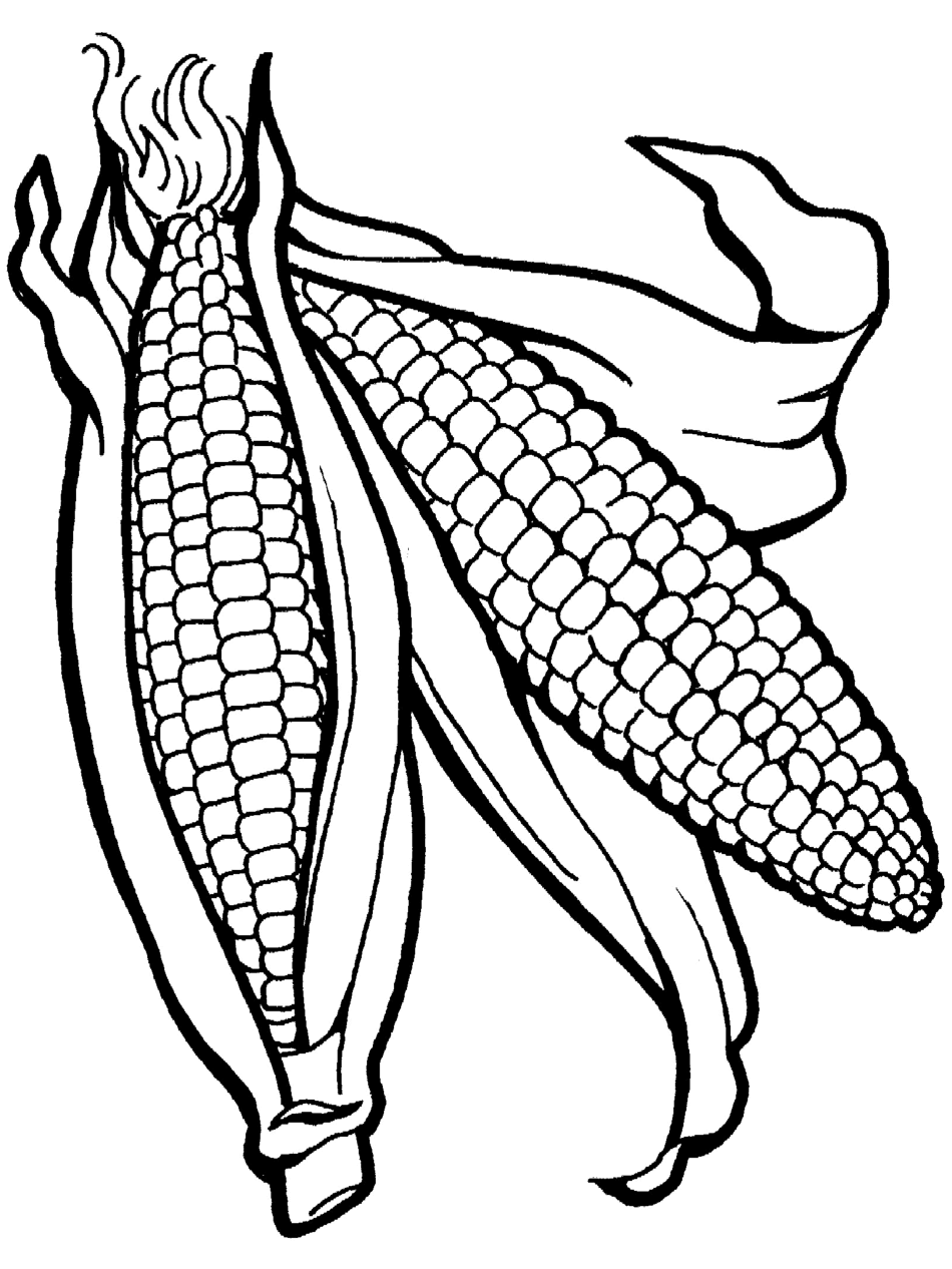 Fruits Vegetables - Coloring Pages for Kids and for Adults