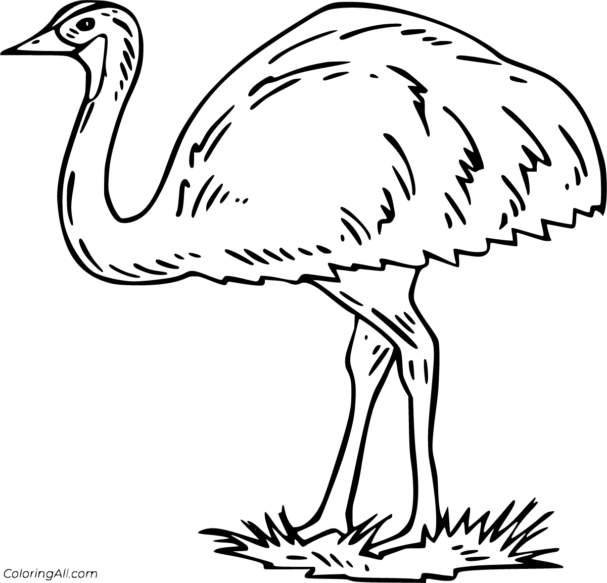 20 free printable Emu coloring pages in vector format, easy to print from  any device and automatically fit any paper s… in 2020 | Coloring pages,  Bird coloring pages, Color
