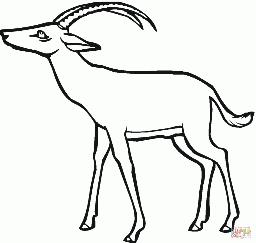 Gazelle coloring pages for kids