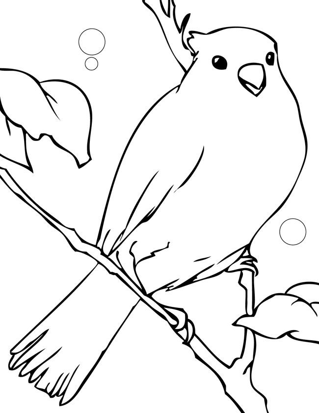 Canary coloring page - Animals Town - animals color sheet - Canary ...