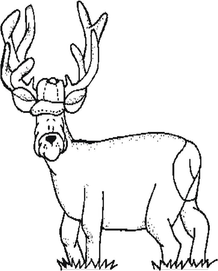 Woods and Hunting Coloring Pages - Color Book
