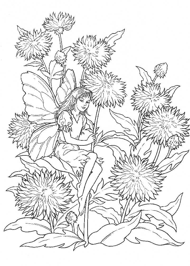 Fairy Coloring Pages for Adults