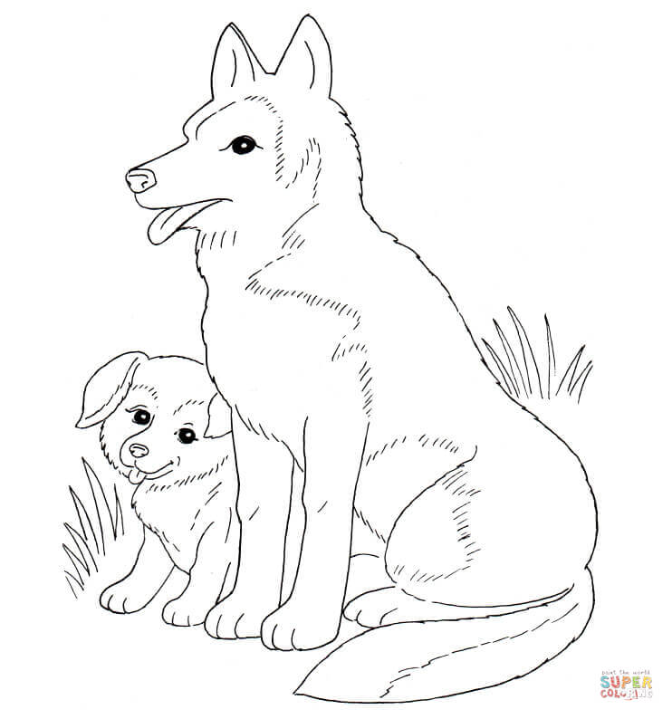 Golden Retriever Puppy coloring page | Free Printable Coloring Pages