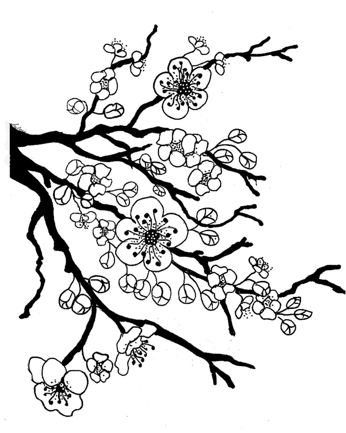 Cherry Blossom Coloring Pages - Coloring Home