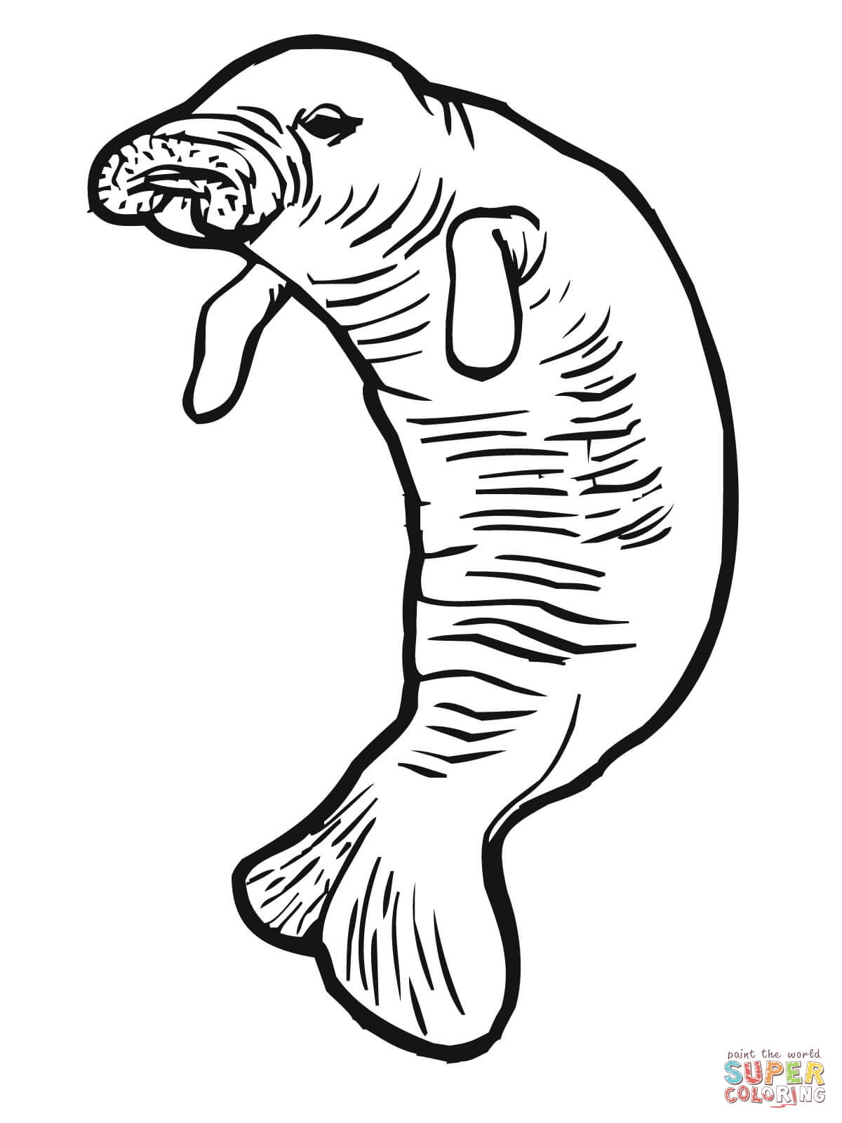Manatee coloring pages | Free Coloring Pages