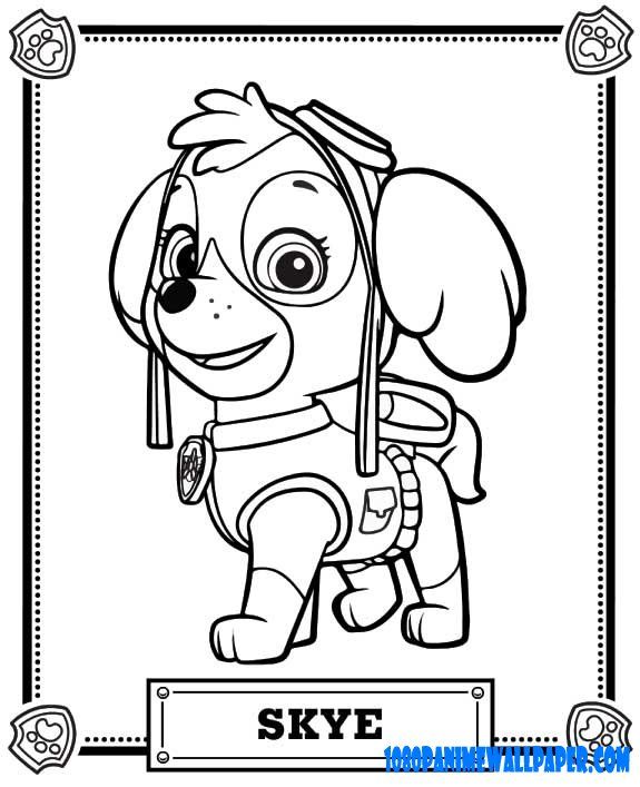 paw patrol | PAW PATROL colouring pages | Paw patrol coloring, Paw ...