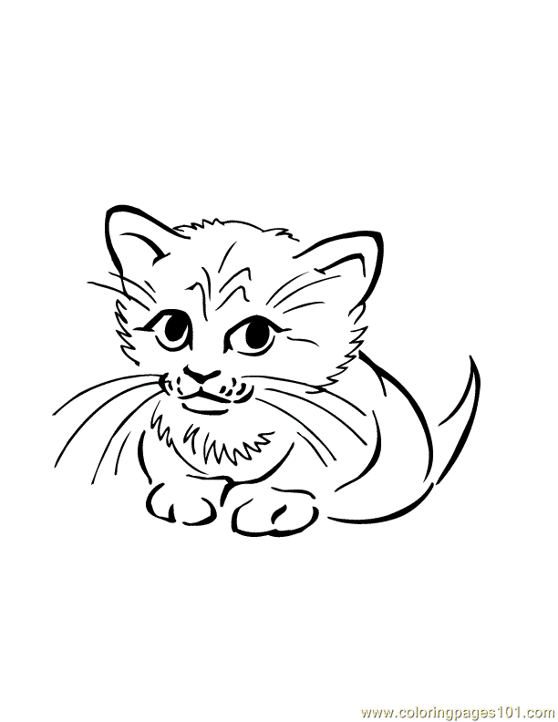 Baby Cat Coloring Page - Free Cat Coloring Pages ...