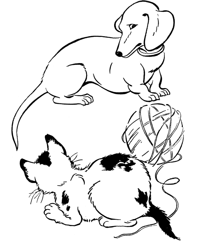 Dog Coloring Pages | Printable Dachshund dog coloring page sheet 