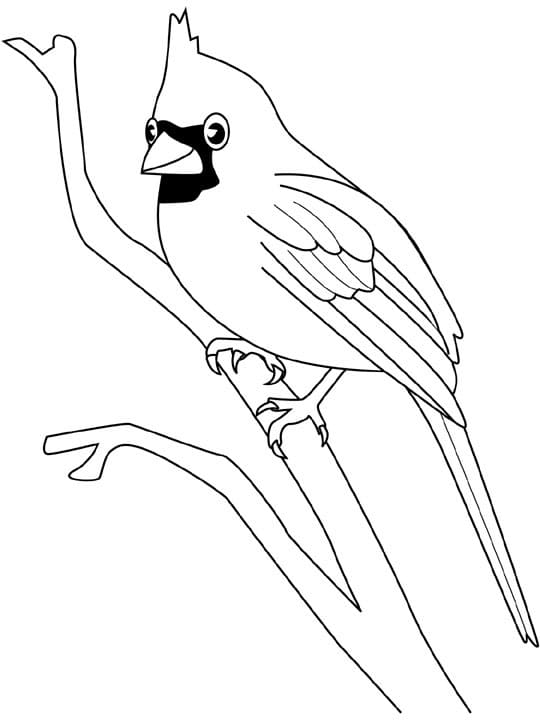 Cardinal on a Tree Branch Coloring Page - Free Printable Coloring Pages for  Kids