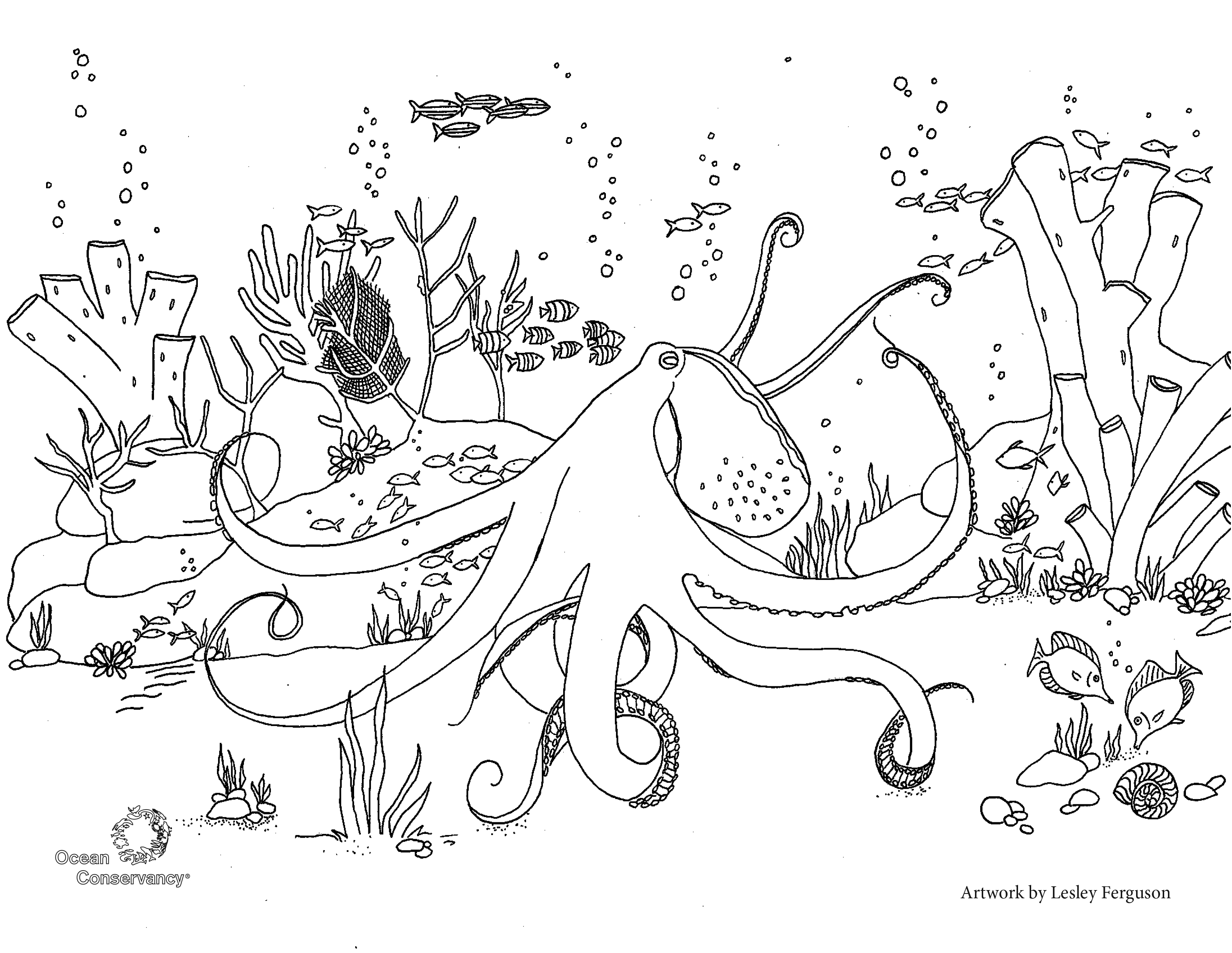 Sustainable Fisheries: Fish Coloring Pages - Ocean Conservancy