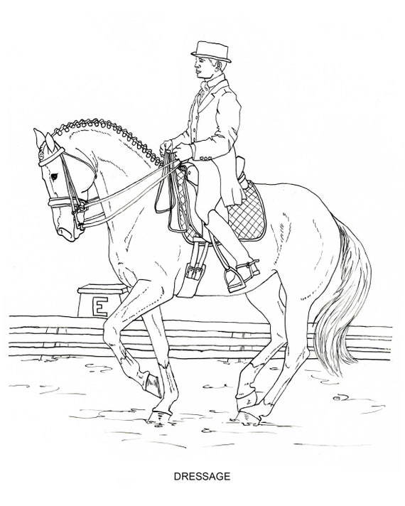 Printable Coloring Pages Disciplines and Jobs for Horses 40 | Etsy Canada