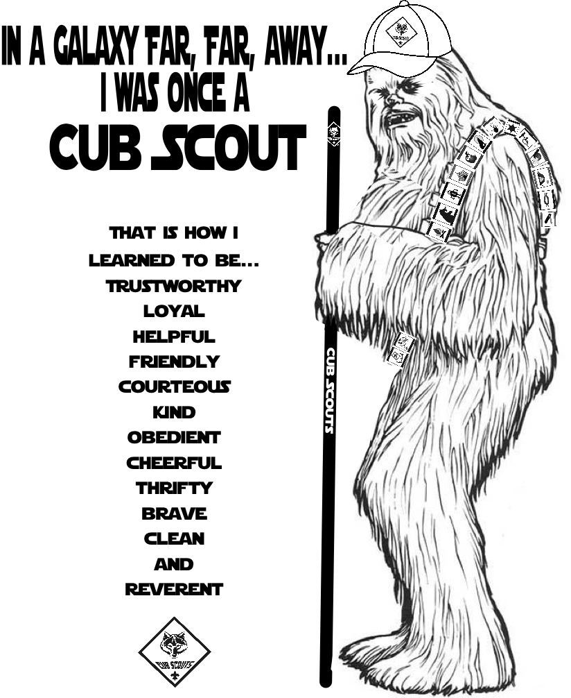 Akela's Council Cub Scout Leader Training: Chewbacca Was Once a ...
