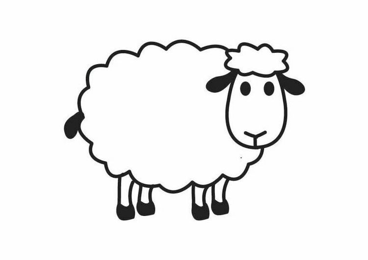 Coloring page Sheep - this could be used for all sorts of projects ...