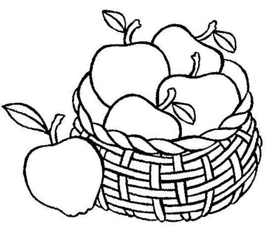 free fruit basket coloring pages - VoteForVerde.com