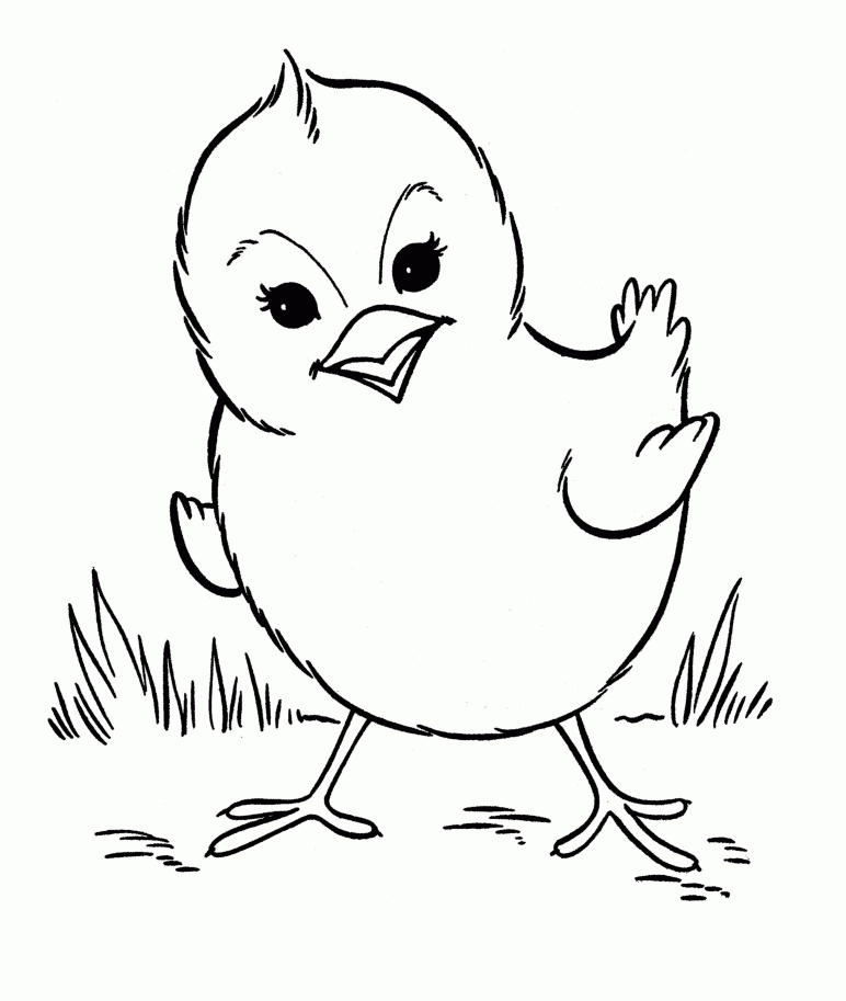 Download Free Barn Animal Coloring Pages - Coloring Home