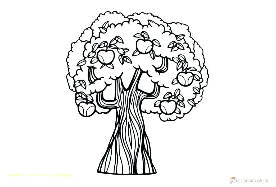 tree of life coloring pages – africaecommerce.co
