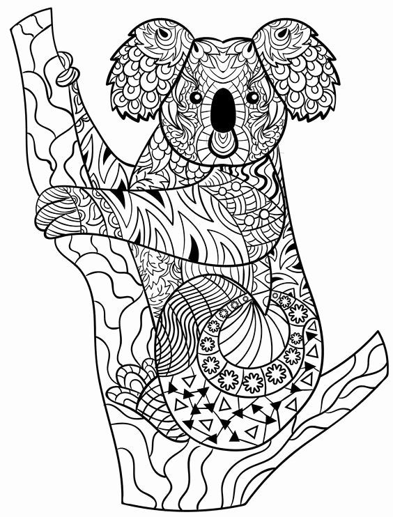 coloring-australian-animals-inspirational-koala-zentangle-in-2020-animal-coloring-page-animal
