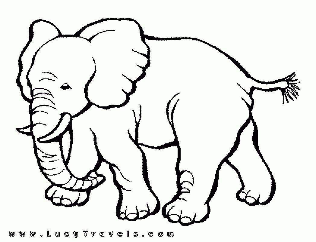 Studying Cartoon Safari Coloring Page Illustration For The ...