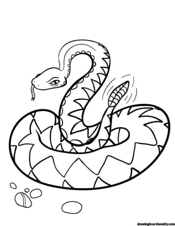 Rattlesnake Coloring Page | Snake coloring pages, Coloring pages, Animal coloring  pages