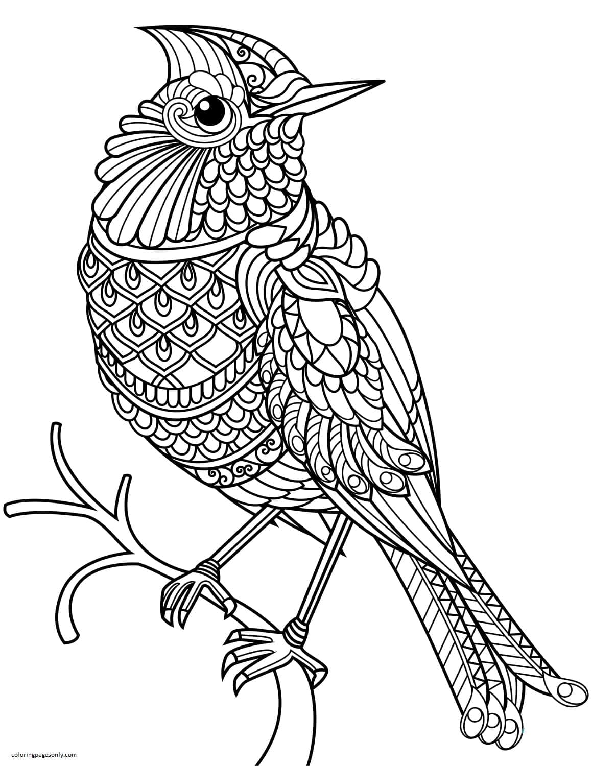 Northern Cardinal Zentangle Coloring Pages - Teenage Coloring Pages - Coloring  Pages For Kids And Adults