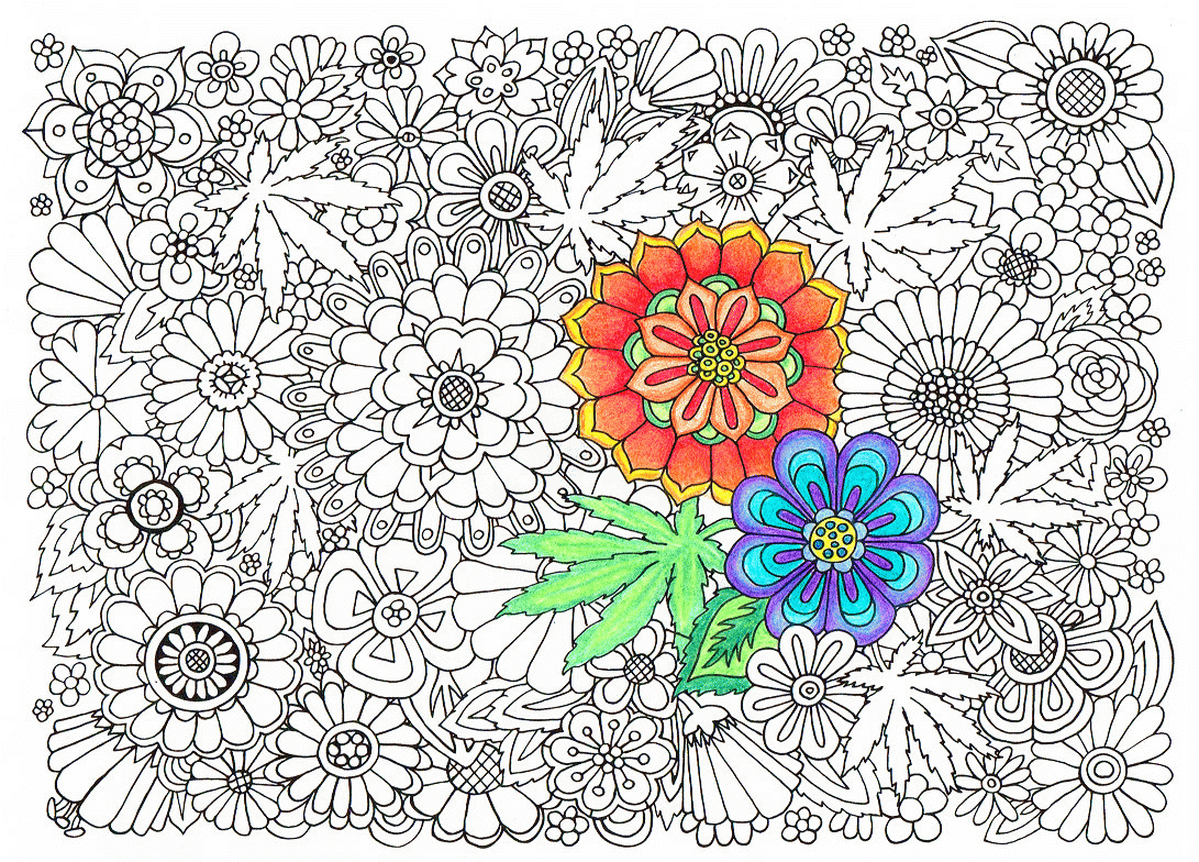 Colorama Coloring Pages Coloring Home