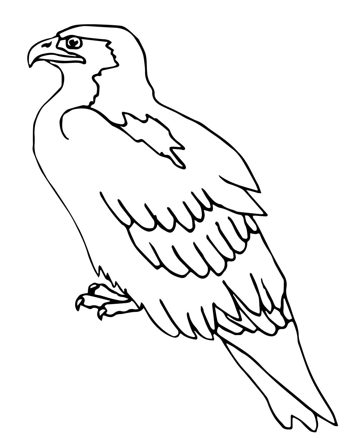 Falcon Images: Printable Peregrine Falcon Coloring Page