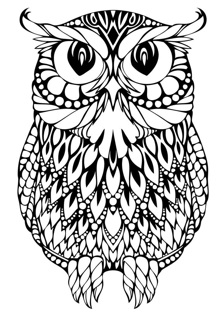 1000+ ideas about Owl Coloring Pages | Colouring ...