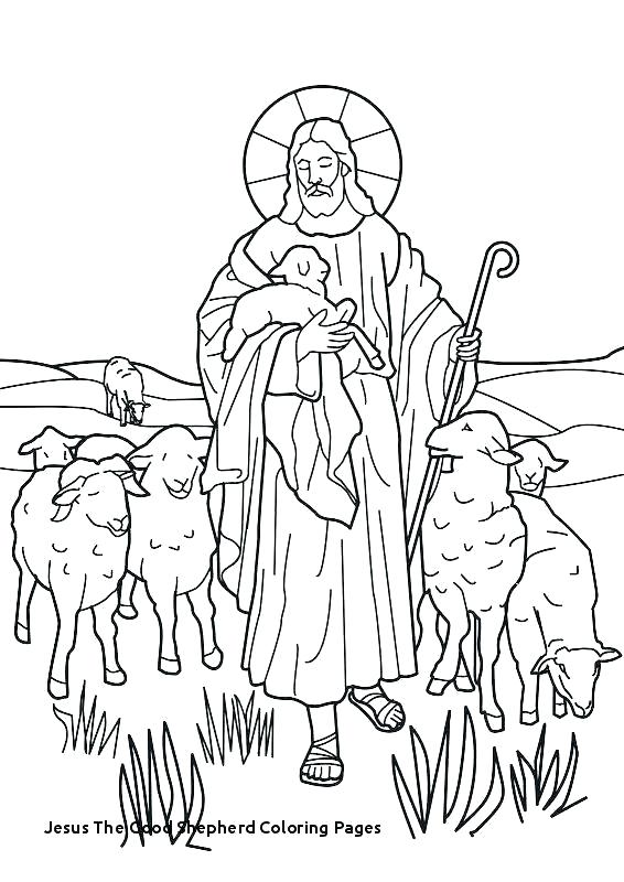 shepherds baby jesus coloring pages – builddirectory.info