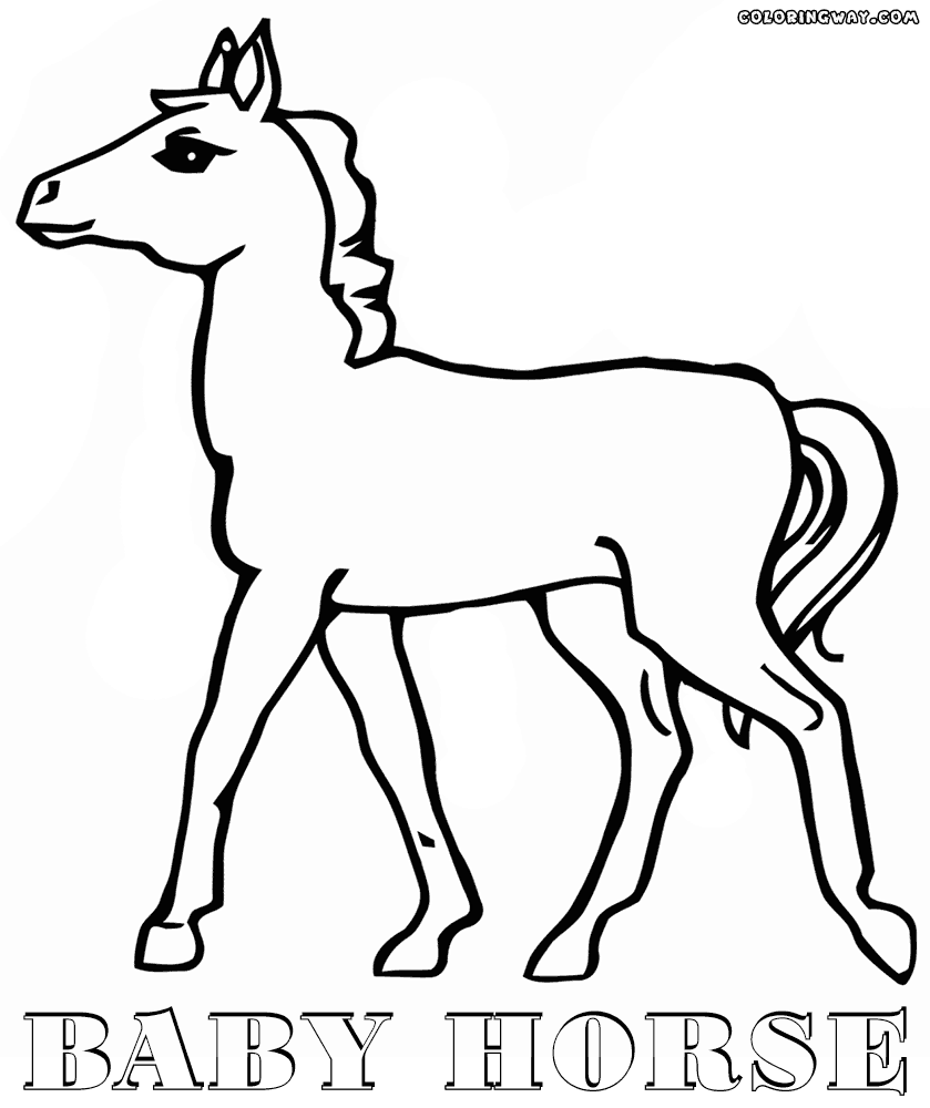 Baby Horse Coloring Pages