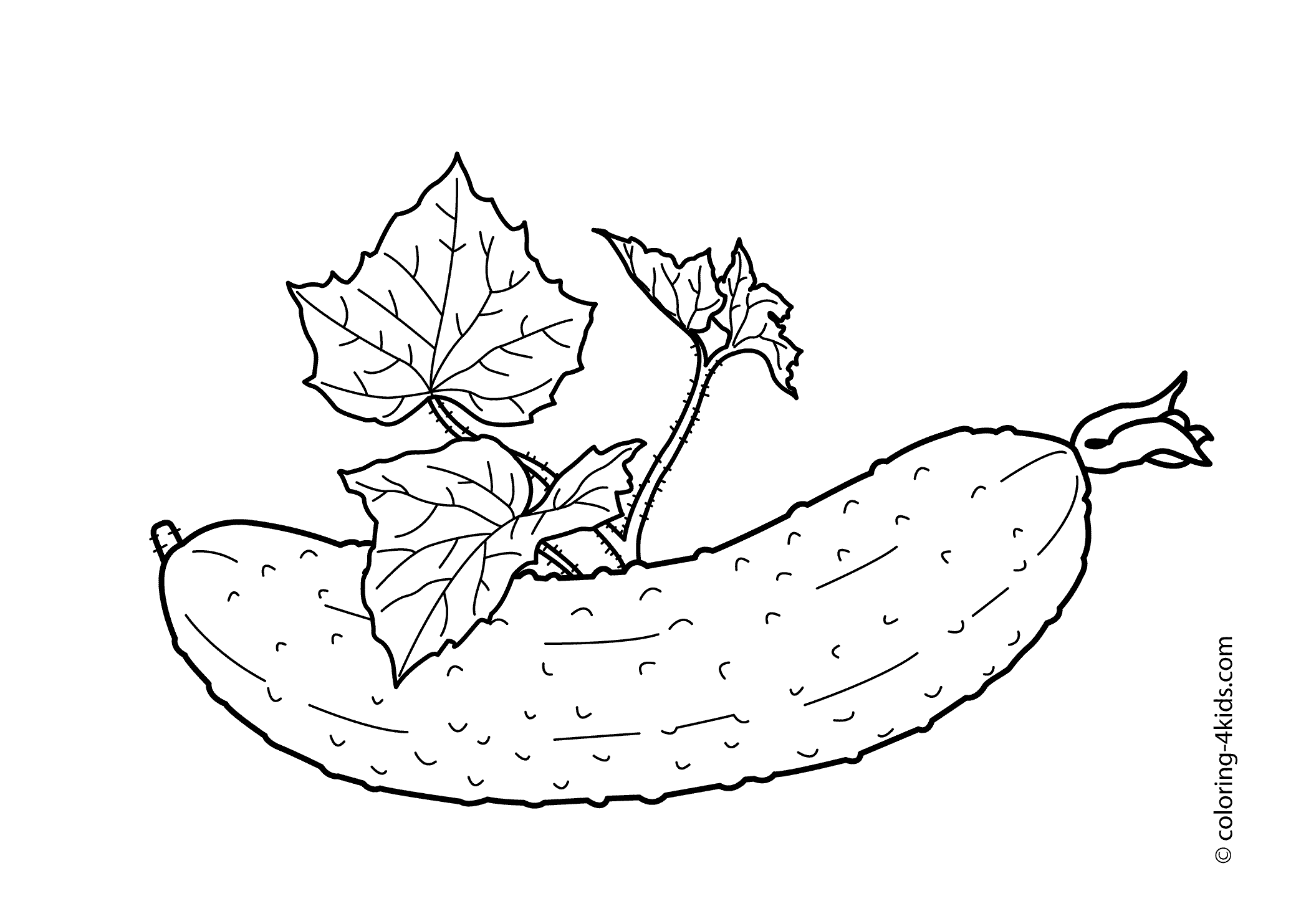 Cucumber with leaves vegetables coloring pages for kids, printable free |  Vegetable coloring pages, Coloring pages, Coloring pages for kids