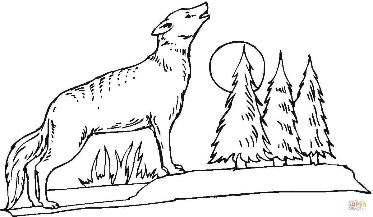 Coyote howling at the moon coloring page | Free Printable Coloring Pages
