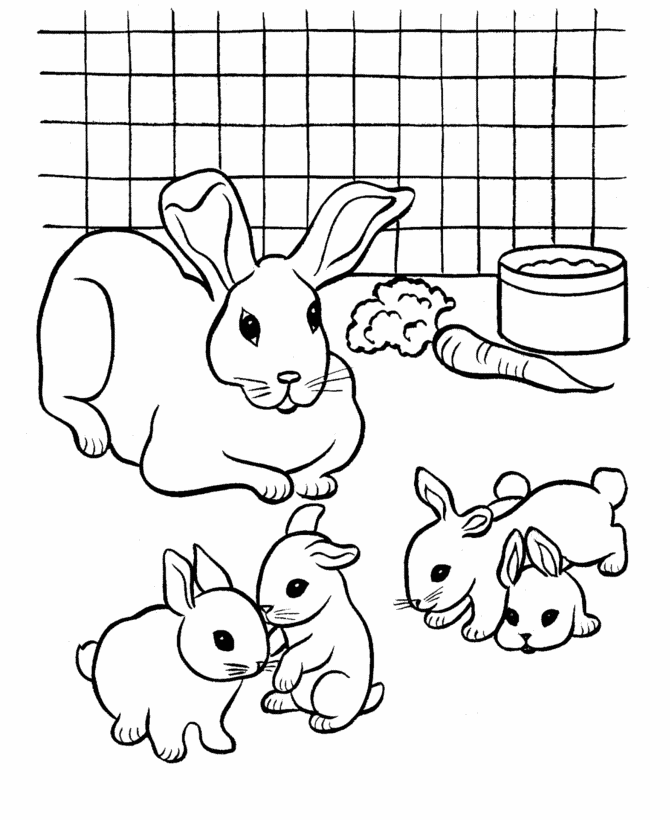 Coloring Pages For Kids Rabbit And Babies | Animal Coloring pages ...