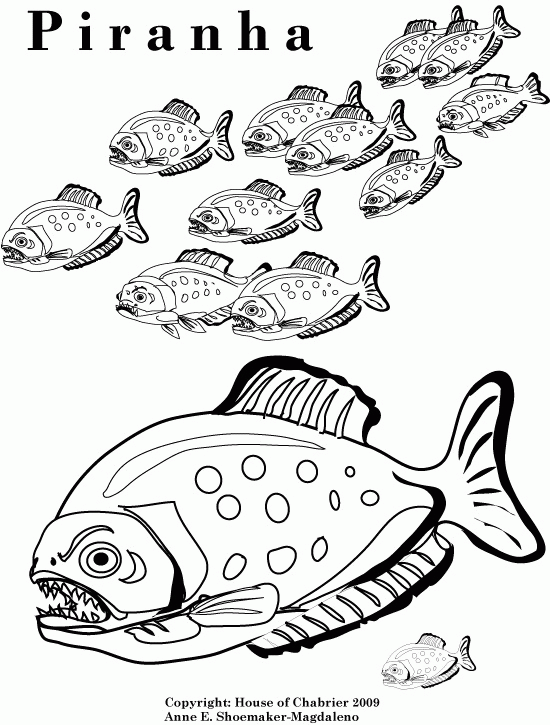 Piranha Coloring Page