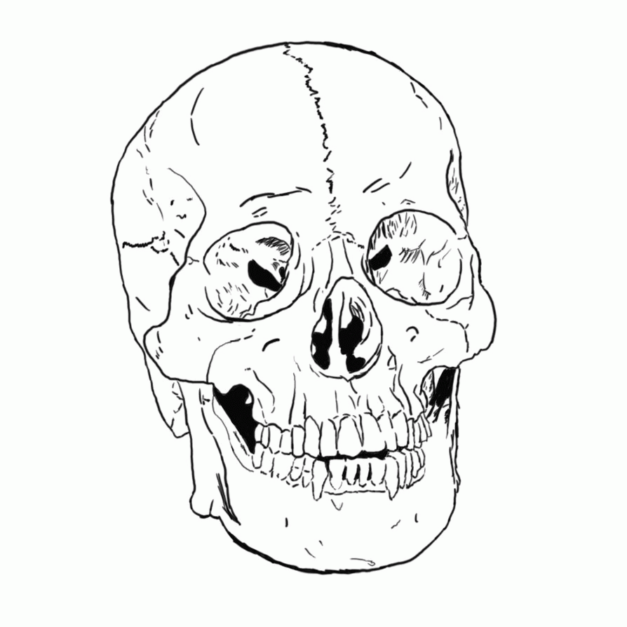 24 Anatomy and Physiology Coloring Pages Free to Print - Gianfreda.net