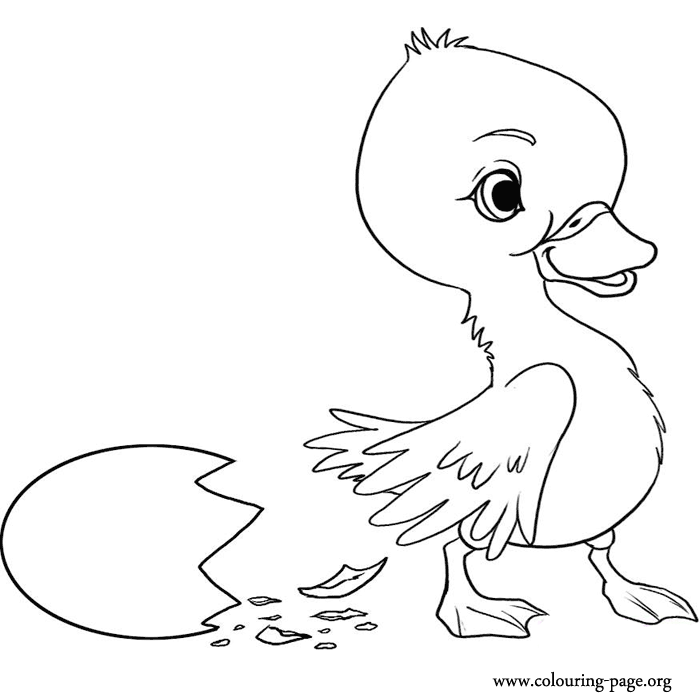 The Ugly Duckling Coloring Pages - Coloring Home