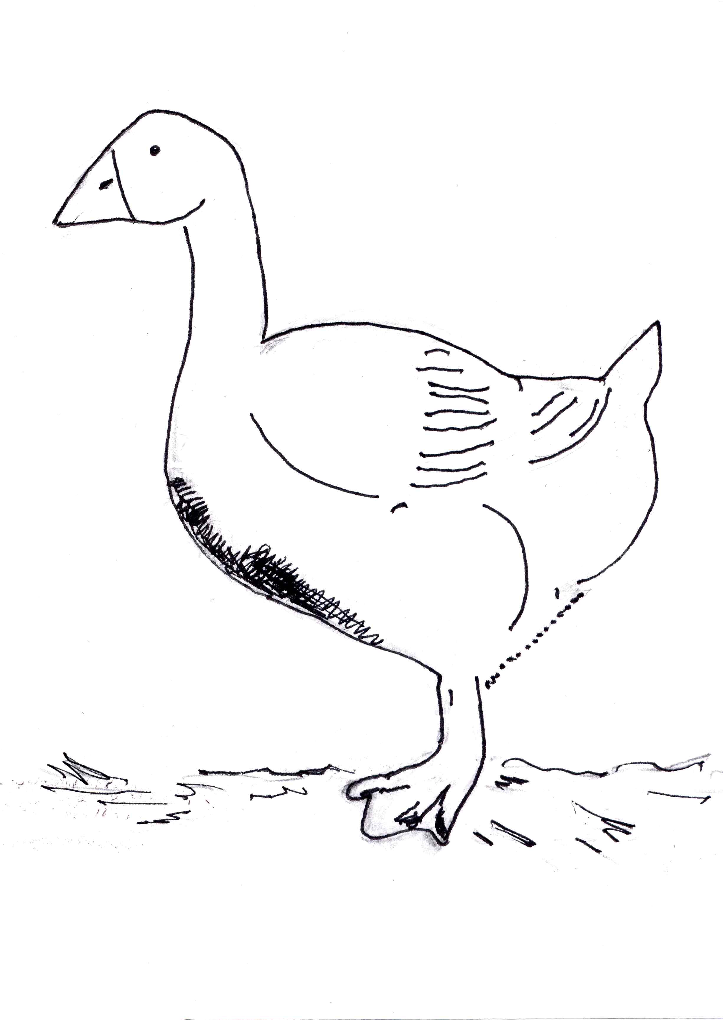 Goose Coloring Page - HiColoringPages