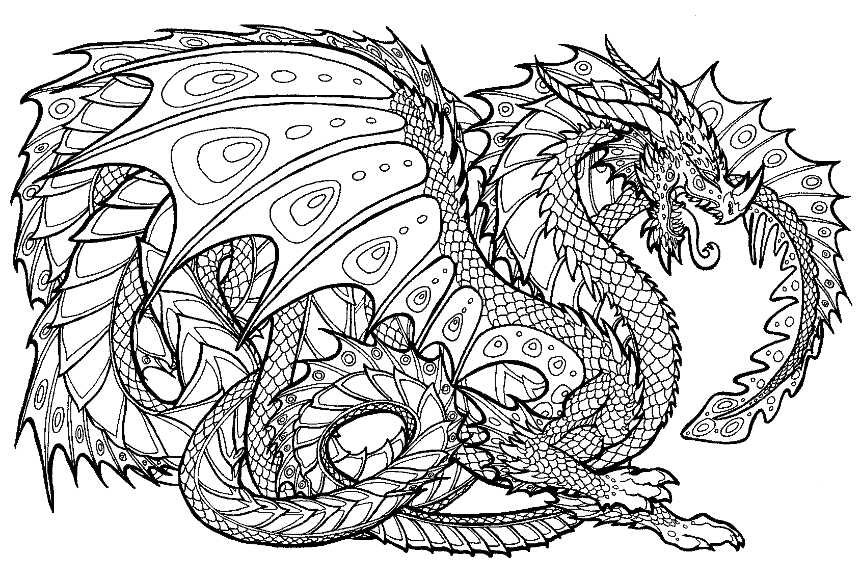 Realistic Dragon - Coloring Pages for Kids and for Adults