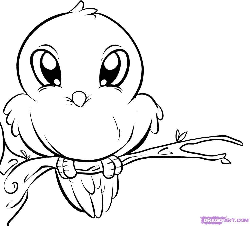 ini: Cute Bird Coloring Pages Free Printable Pictures Coloring Pages ... | Cute  coloring pages, Bird drawings, Baby animal drawings