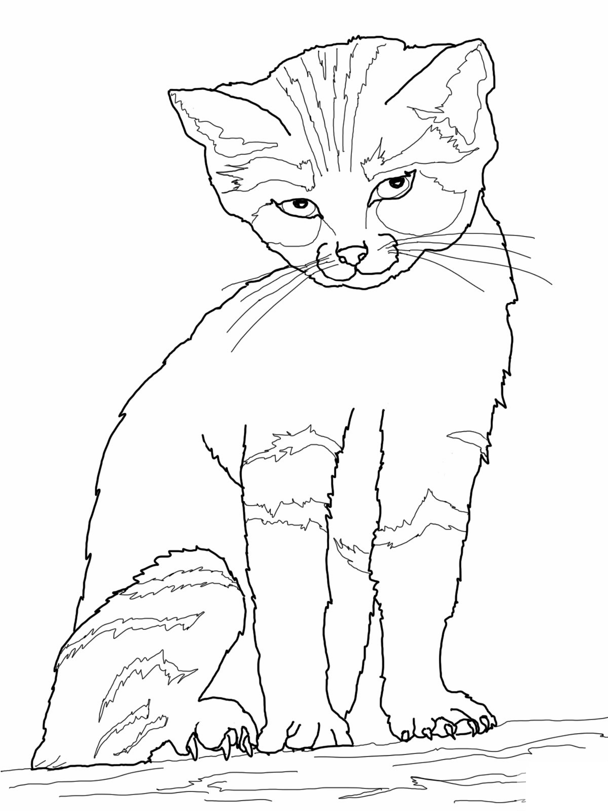 cat-free-printable-coloring-pages
