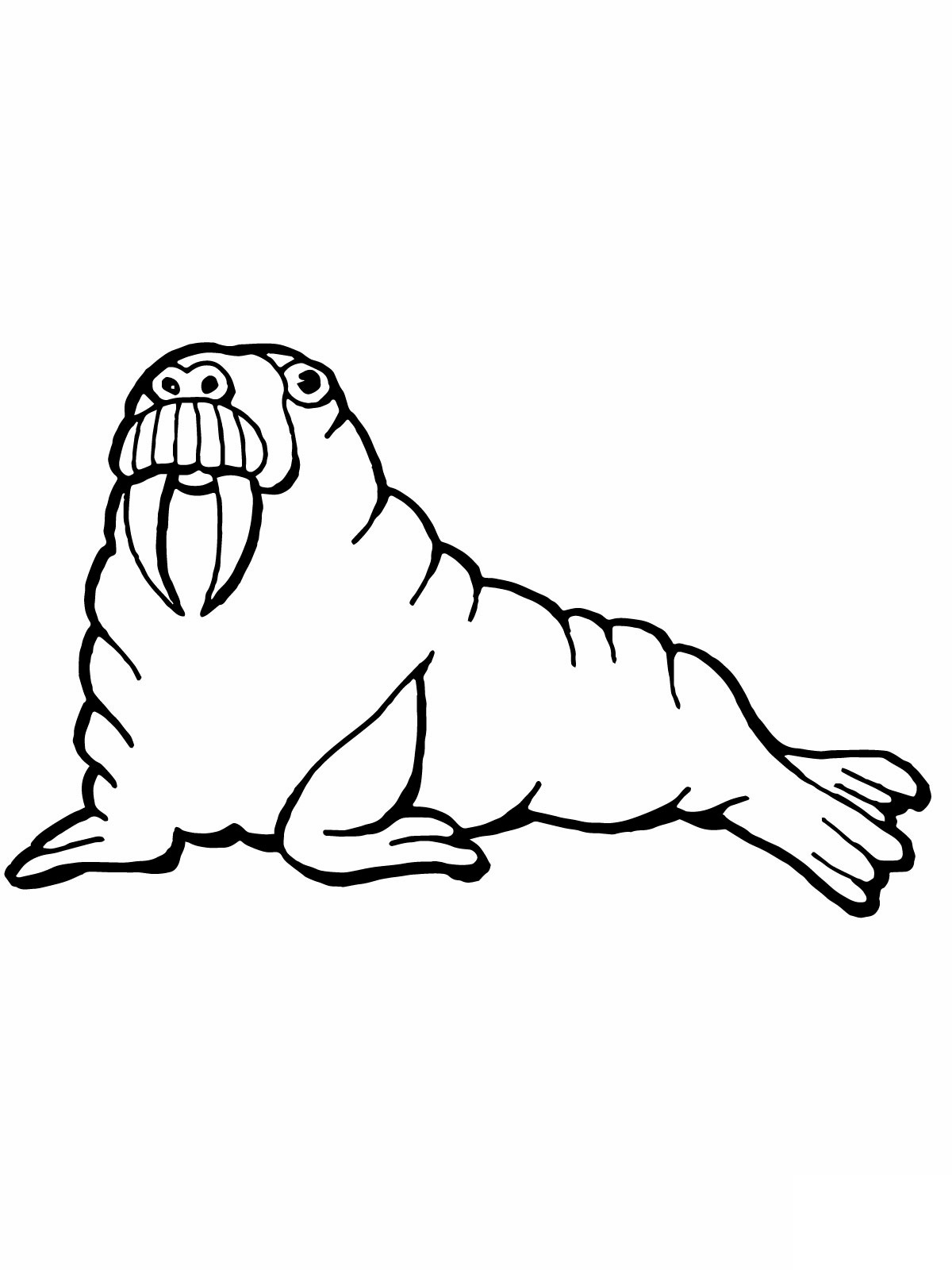 Walrus Coloring Page - Get Coloring Pages