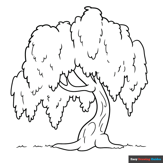 Willow Tree Coloring Page | Easy Drawing Guides