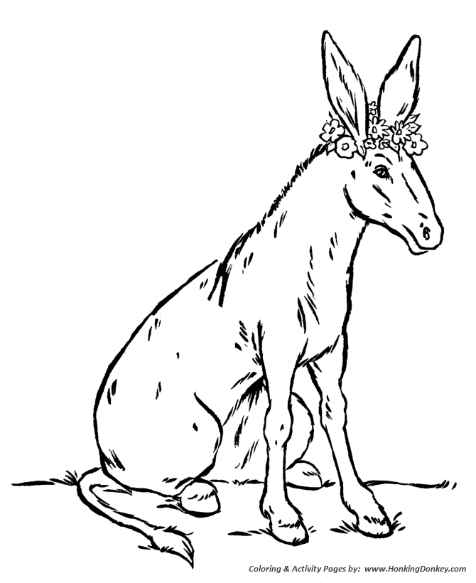 Farm Animal Coloring Pages | Donkey with Flowers Coloring Page and 