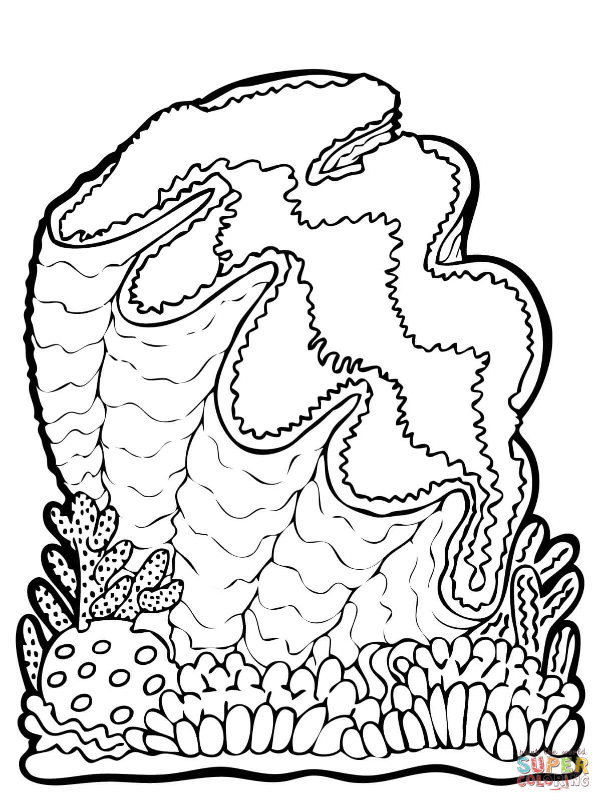 Giant Clam coloring page | Free Printable Coloring Pages