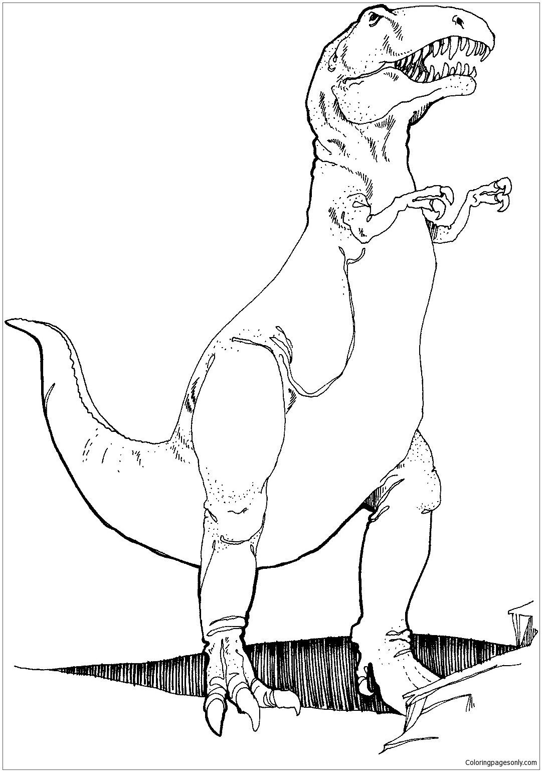 coloring : T Rex Pictures To Color New Tyrannosaurus T Rex Coloring Page  Free Coloring Pages Line T Rex Pictures to Color ~ queens