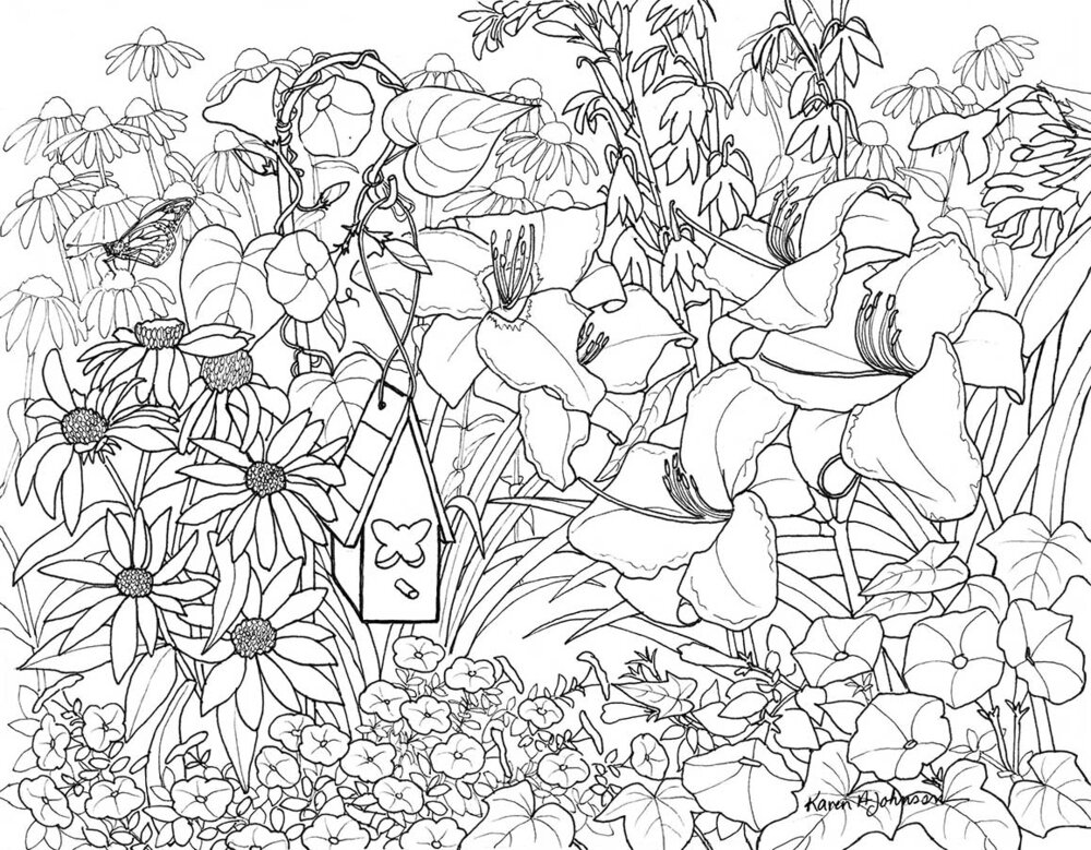 Jean's Garden 2 Coloring Page — Karen's Nature Art