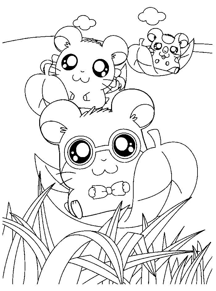 Cartoon Hamster Coloring Pages | Animal coloring pages, Coloring books,  Free coloring pages