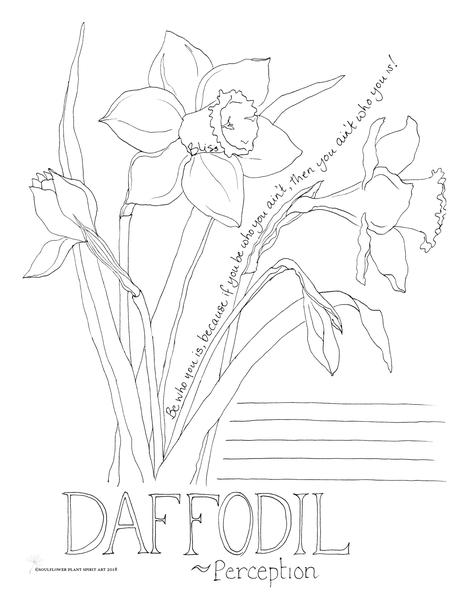 Daffodil (Perception) Coloring Page - My Soulflower