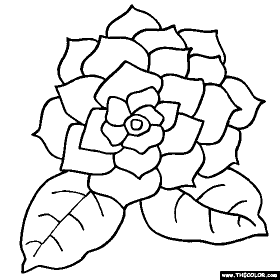 Flower Coloring Pages | Color Flowers Online