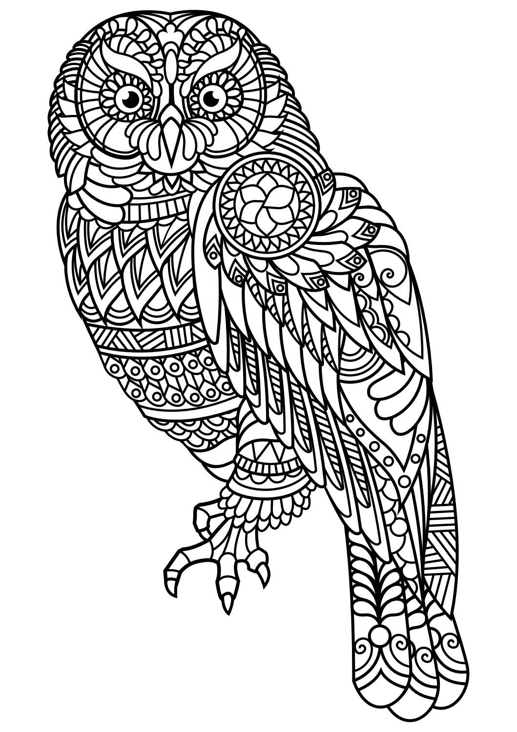 Animal coloring pages pdf (With images) | Bird coloring pages ...